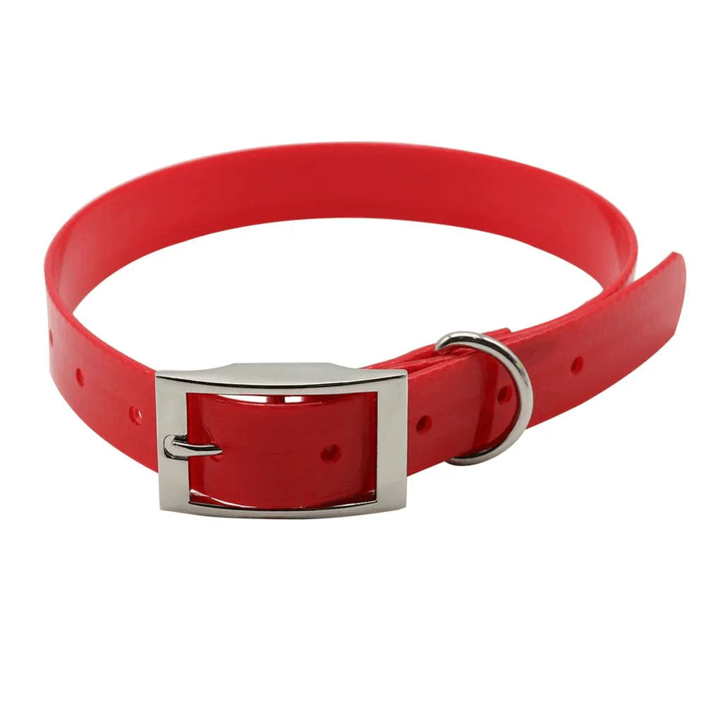 Collier Réfléchissant Confort pour Chien – Nylon Résistant, Fermeture Rapide