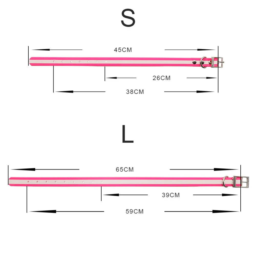 Collier Réfléchissant Confort pour Chien – Nylon Résistant, Fermeture Rapide
