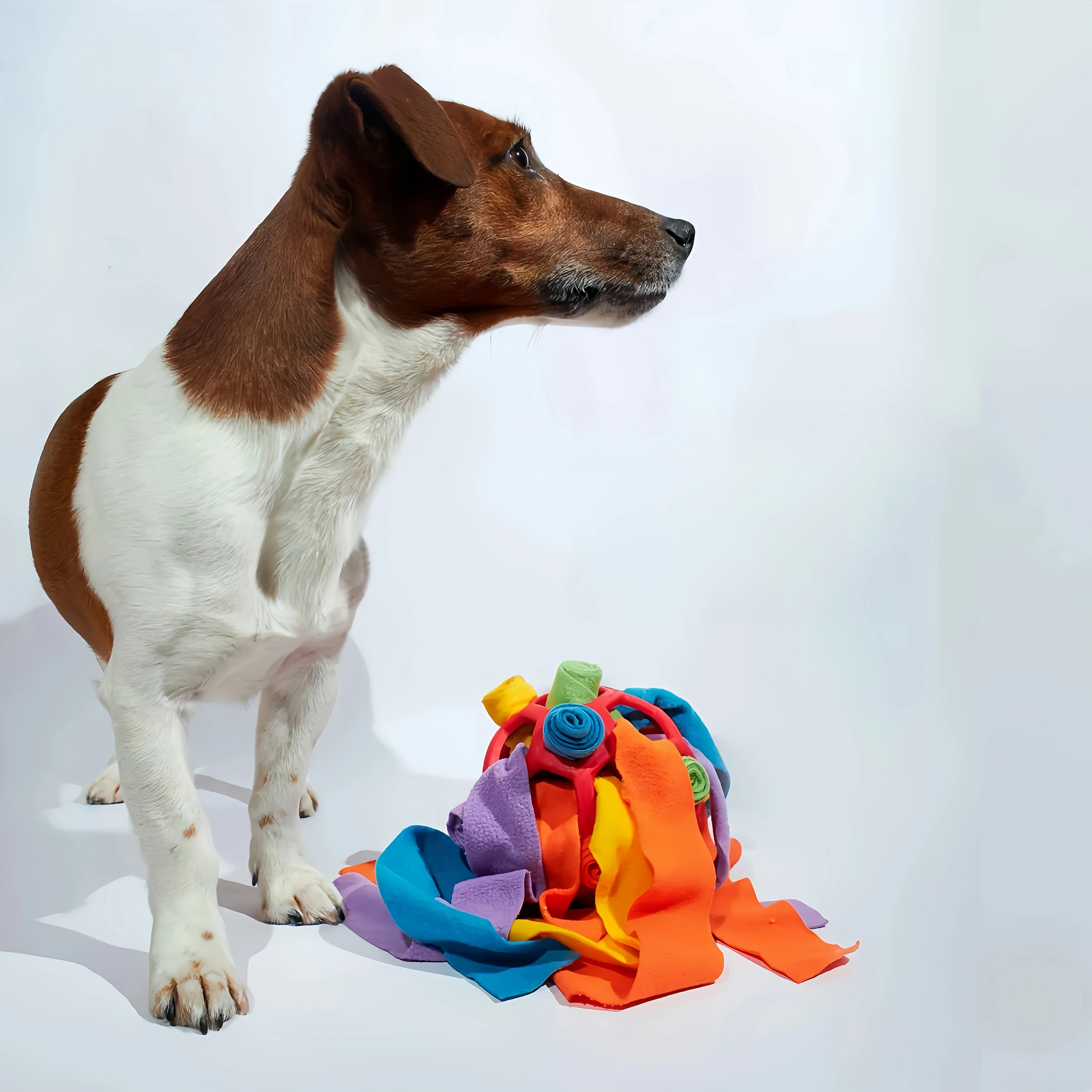Balle de reniflage interactive pour chien – Jouet d’occupation anti-glouton