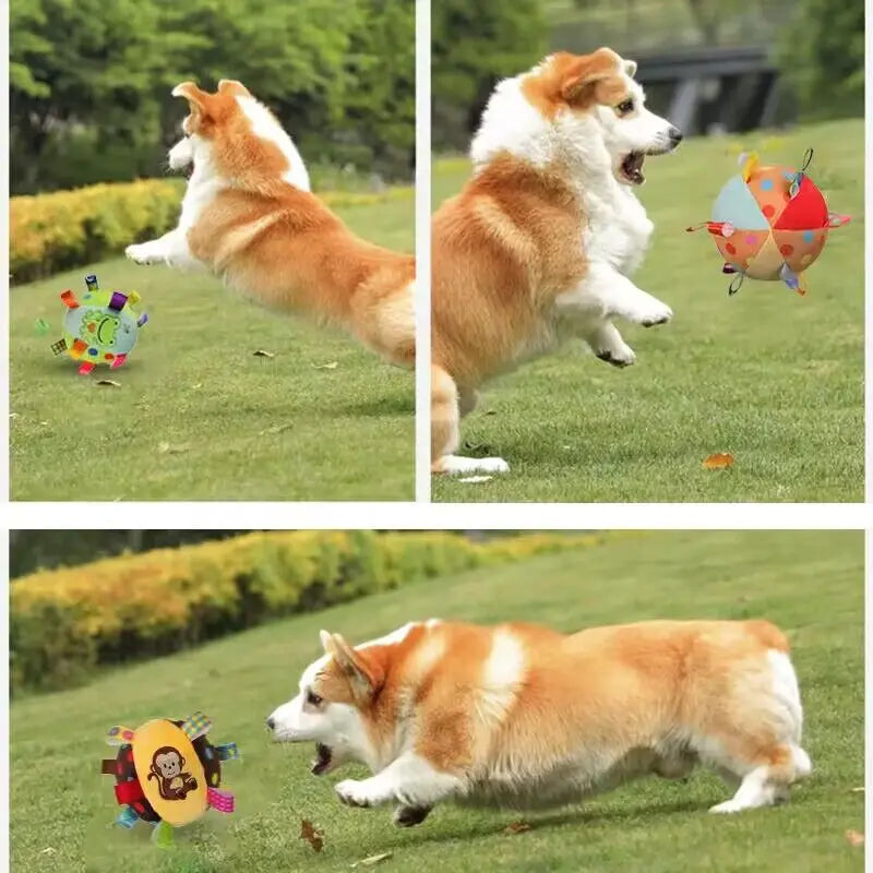 Balle en Peluche pour Chien avec Clochette – Jouet Interactif à Mâcher & Nettoyage des Dents