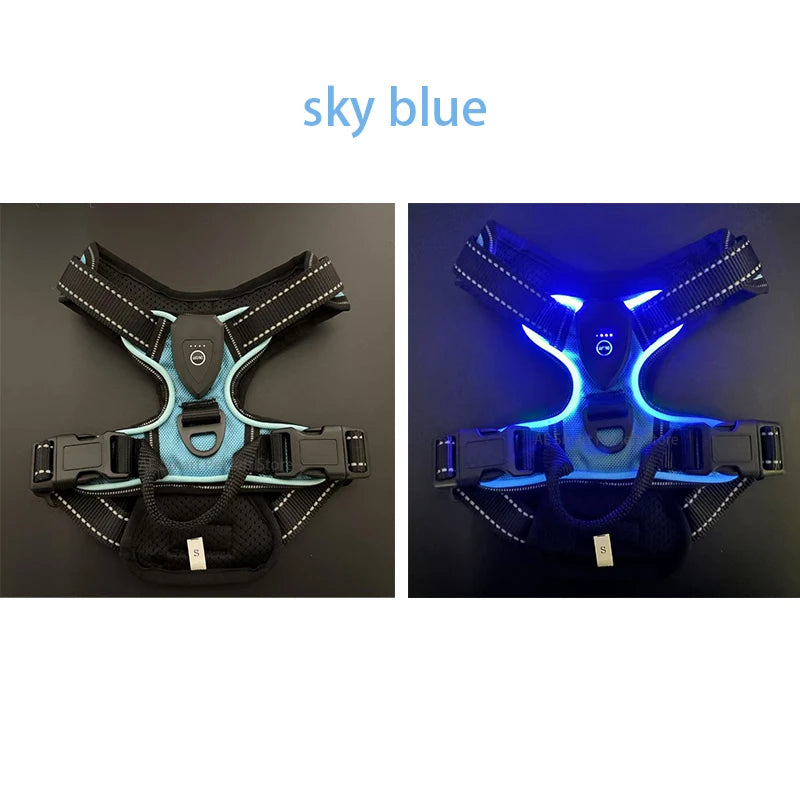 Harnais lumineux à LED pour chien