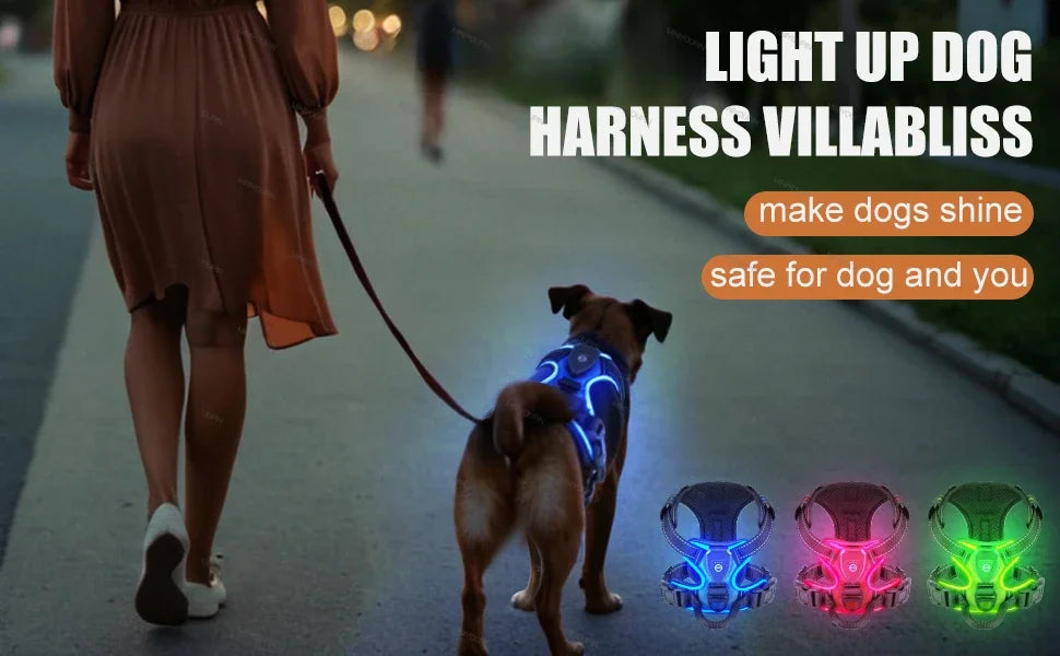 Harnais lumineux à LED pour chien