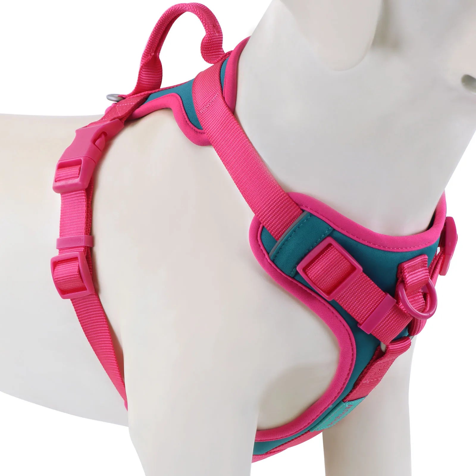 Harnais Anti-Traction Confort pour Chien – Réglable, Respirant et Personnalisable