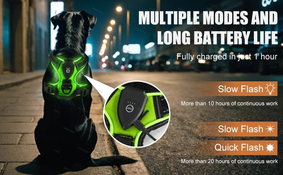 Harnais lumineux à LED pour chien